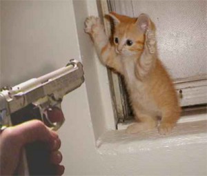 I'm here about your taxes